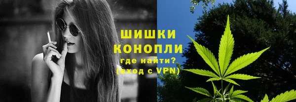 прущие грибы Белокуриха