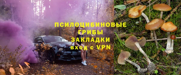 spice Беломорск