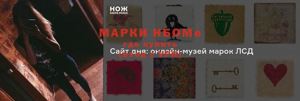 PSILOCYBIN Богородицк