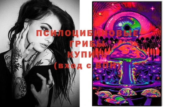 spice Беломорск