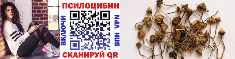 blacksprut ссылки  Яблоновский  Псилоцибиновые грибы ЛСД 